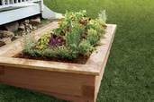 Raised Planting Bed Tout