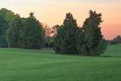 seeding a lawn tout