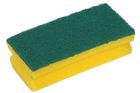 abrasive sponge