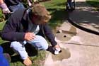 an experienced landscaper mudjacking or lifting a sagging concrete walkway slab