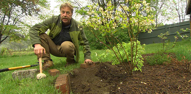Roger Cook discusses landscape edging