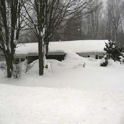 snow covered in winter