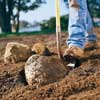 Removing rocks