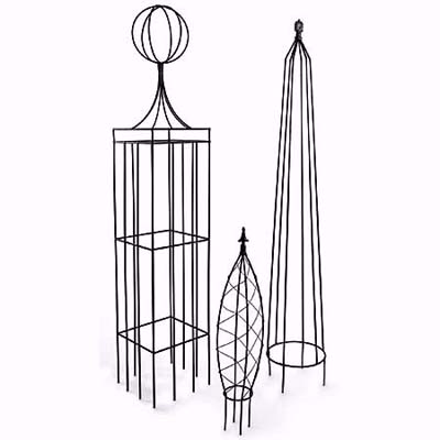 vines growing on steel trellises add dimension to any raised plant bed