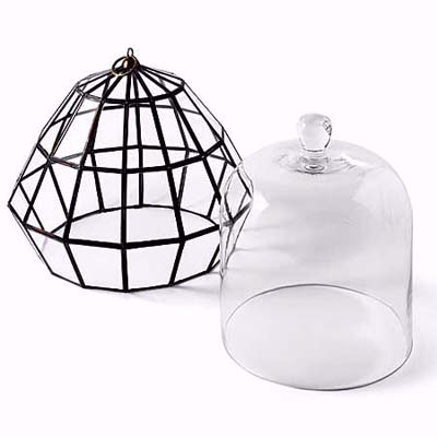 cloches help keep in heat and moisture