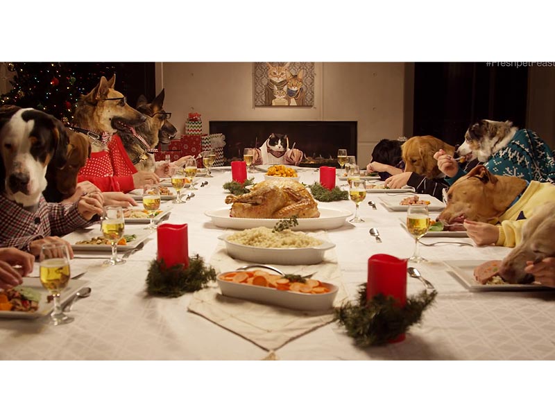 Shelter Pets Share Holiday Meal Freshpet Commercial : People.com